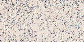 Crystal grains  Cross section of the material before heat treatment