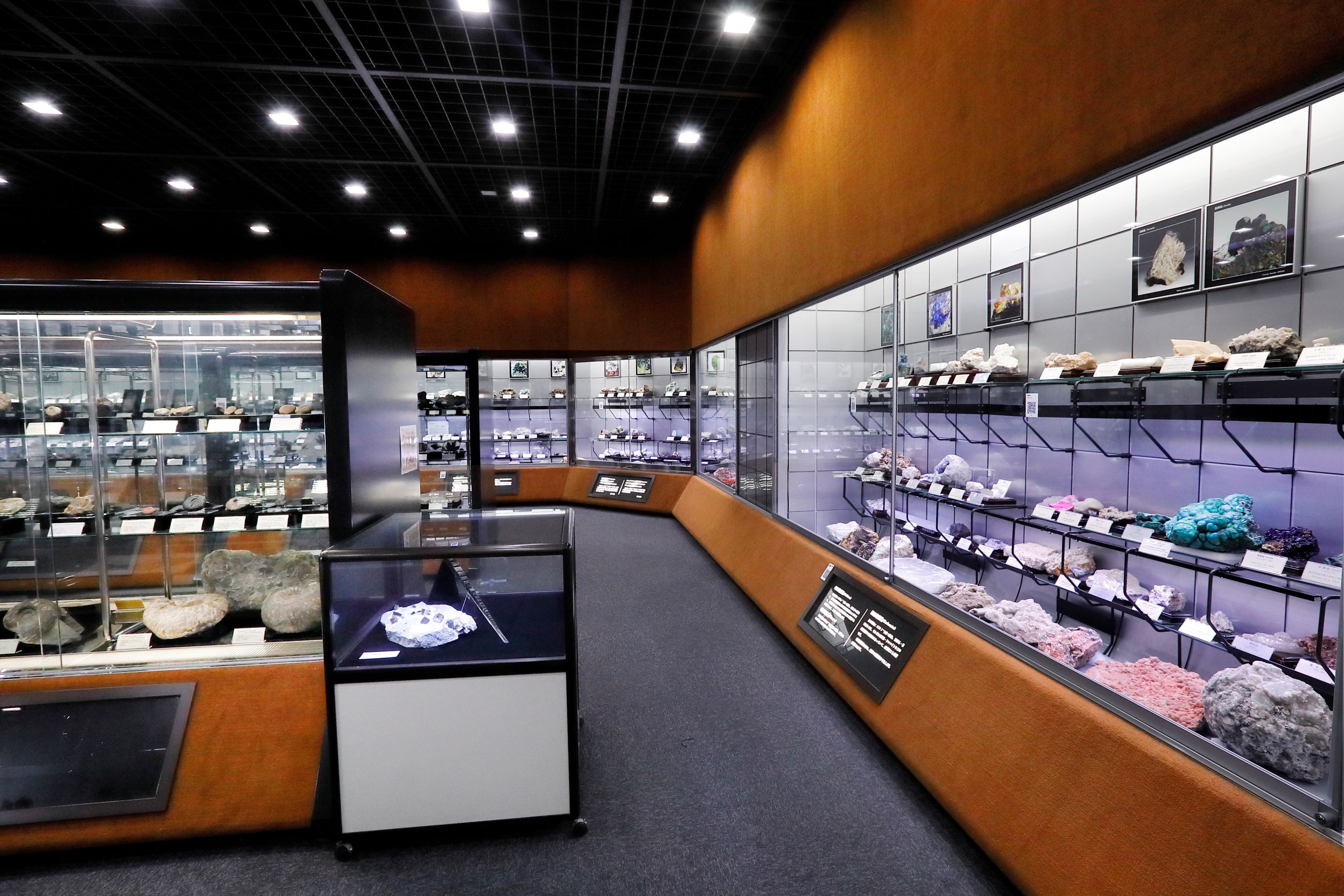 多くの岩石・鉱物・化石の標本が展示されている「地質標本館」第４展示室 