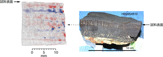 マンガンクラスト薄片試料の表面磁場を光学顕微鏡画像に重ね合わせた図。